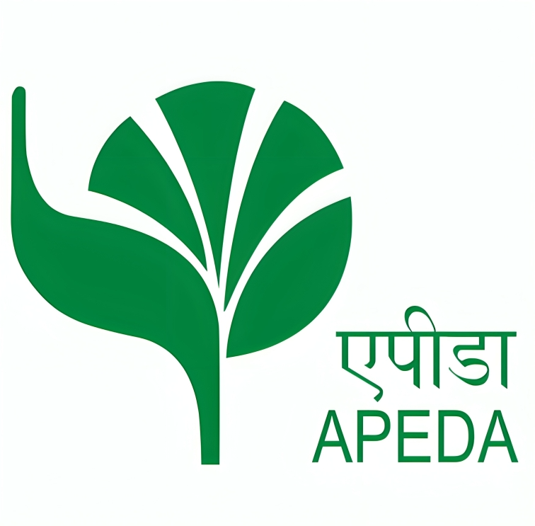 APEDA Logo